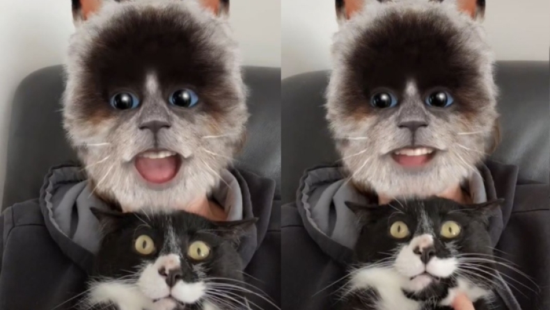 Viral η αντίδραση γάτας βλέποντας την ιδιοκτήτριά της να βάζει φίλτρο γάτας στο πρόσωπό της (vid)