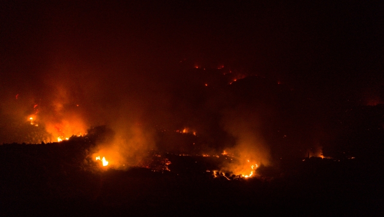Φωτιά σε δάσος στο Λιβαδάκι της Ηλείας: Επιχειρούν ισχυρές πυροσβεστικές δυνάμεις