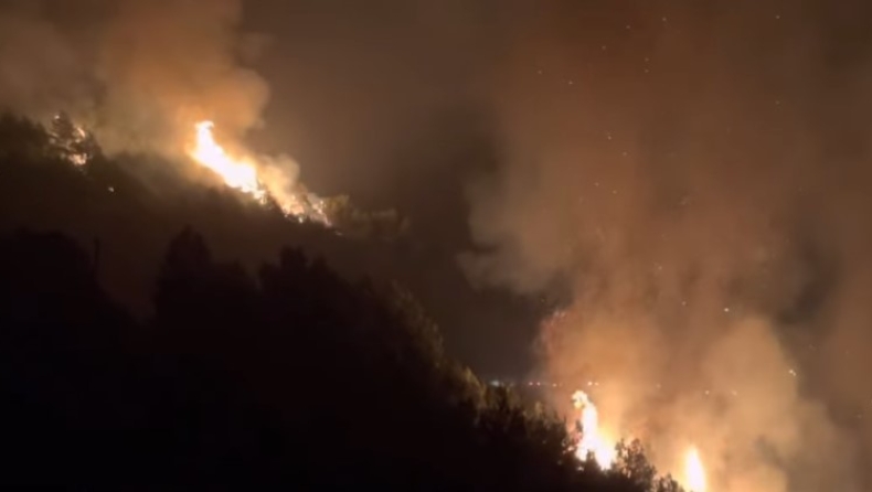 Εκτός ελέγχου η φωτιά στην Ηλεία: Εκκενώθηκε χωριό (vid)