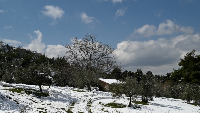 Ο φετινός Μάρτιος στην Ελλάδα ήταν ψυχρότερος από τους μήνες του χειμώνα! 