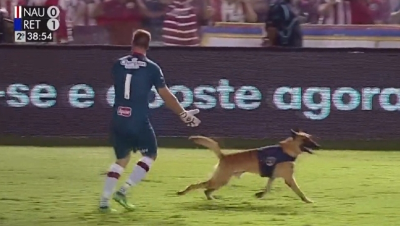 Βραζιλία: Σκύλος «εισέβαλε» σε γήπεδο και... έκλεψε τη μπάλα (vid)