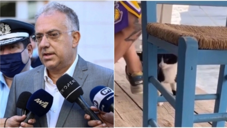 Παρέμβαση Θεοδωρικάκου για το γατάκι στην ψαροταβέρνα: «Να εντοπιστεί άμεσα ο δράστης που το κλώτσησε»