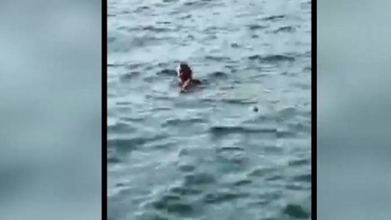 Βούτηξε στον Θερμαϊκό και κολυμπούσε δίπλα από τα νεκρά ποντίκια (vid)