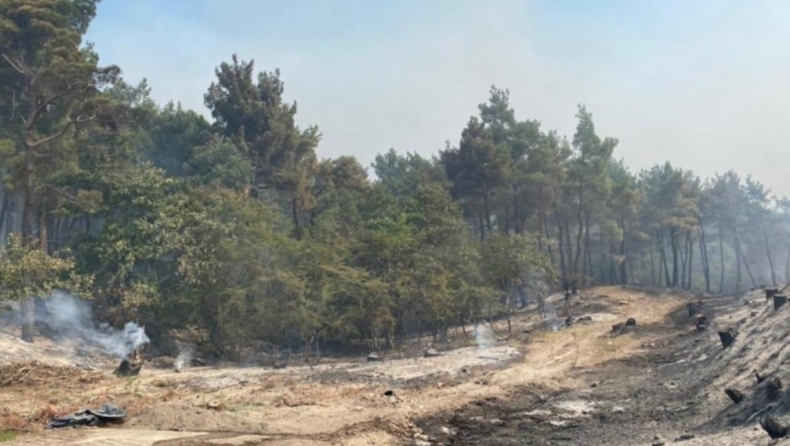 Περισσότερα από 25.000 στρέμματα κάηκαν στη Δαδιά και 17.000 στα Βατερά της Λέσβου