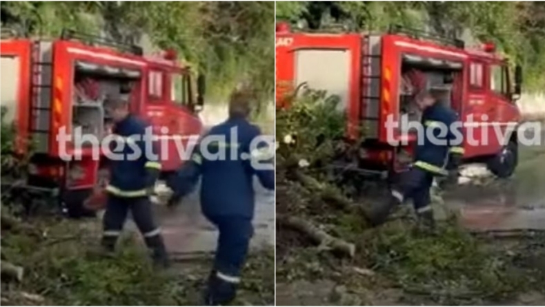 Πτώση δέντρου σε εν κινήσει όχημα στο κέντρο της Θεσσαλονίκης: Έκλεισε δρόμος (vid)