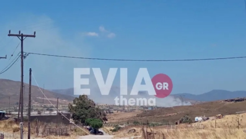 Φωτιά στον Κάμπο Καρύστου στην Εύβοια: Δυνατοί οι άνεμοι στην περιοχή