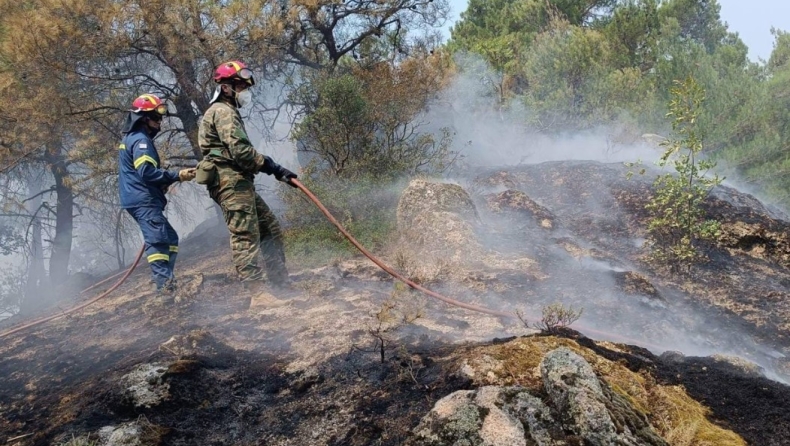 Φωτιά σε δασική έκταση στην περιοχή Φανάρι Ανδρίτσαινας στην Ηλεία και στην περιοχή Λιόφυτη στα Σπάτα