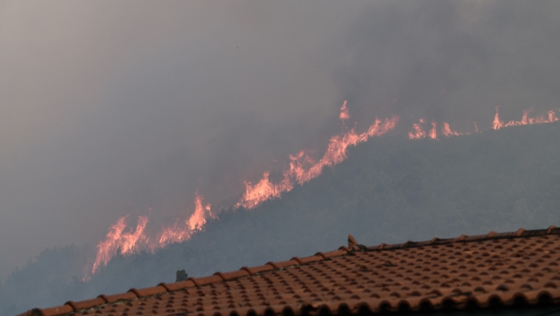  Μεγάλη αναζωπύρωση της φωτιάς στην Ηλεία: Ισχυροί άνεμοι τη σπρώχνουν σε χωριό (vid)