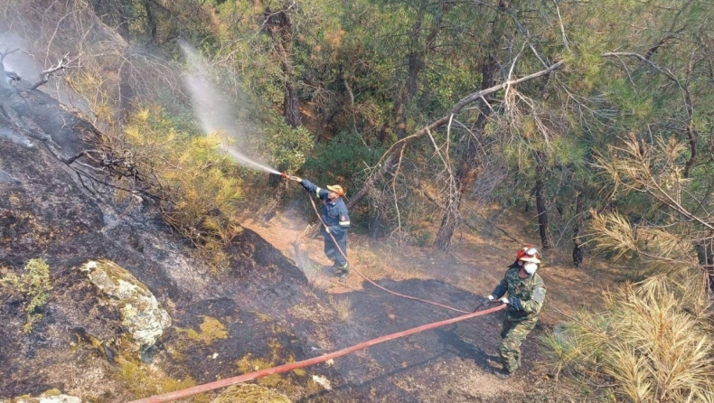 Ανυπολόγιστη καταστροφή στο Πάρκο της Δαδιάς: Καίγεται για 3 μέρες (vid)