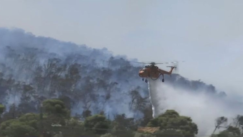 Ενισχύθηκαν οι δυνάμεις στην πυρκαγιά στην Φέριζα: Εκκενώθηκε και άλλη περιοχή