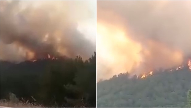 Τρία τα πύρινα μέτωπα στην Ηλεία: Φωτιά καίει δασική έκταση και στη Βάρδα (vid)
