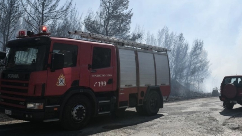 Μάχη με τις φλόγες ένα χιλιόμετρο από το Δίστομο	