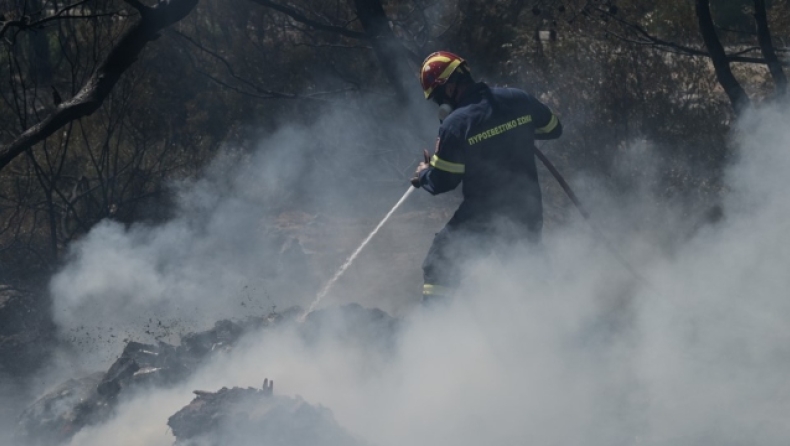 Φωτιά στη Σάμο: Εκκενώνονται προληπτικά δύο οικισμοί (vid)