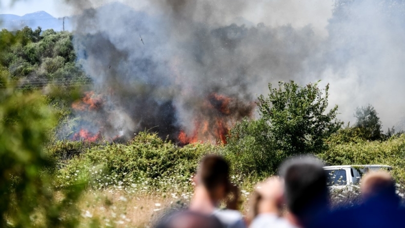 Πρέβεζα: Κινδύνεψαν σπίτια και θερμοκήπια από την πυρκαγιά στο Νεοχώρι	