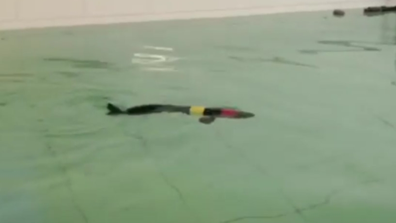 Επιστήμονες στην Κίνα κατασκεύασαν ένα ρομποτικό ψάρι που θα ρουφάει μικροπλαστικά από τις θάλασσες