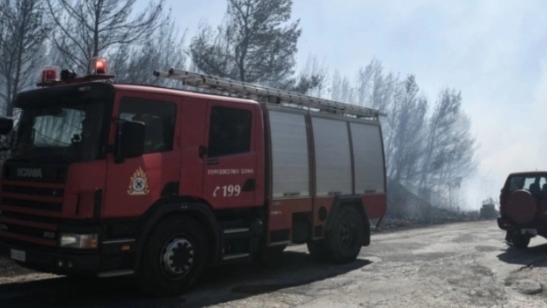 Σε ύφεση η φωτιά στην Λυνίσταινα: Καλή εικόνα παρουσιάζουν οι πυρκαγιές σε Αγία Κυριακή και Ελληνοχώρι