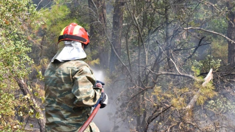 Πέμπτη ημέρα της πυρκαγιάς στο Εθνικό Πάρκο Δαδιάς: Προληπτική απομάκρυνση λίγων ατόμων από το χωριό Λευκίμη