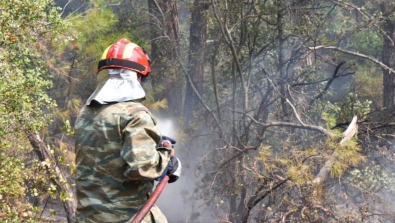 Φωτιά στην Κόρινθο: Κινδύνευσαν πυροσβέστες, ένας από αυτούς στο νοσοκομείο (vid)