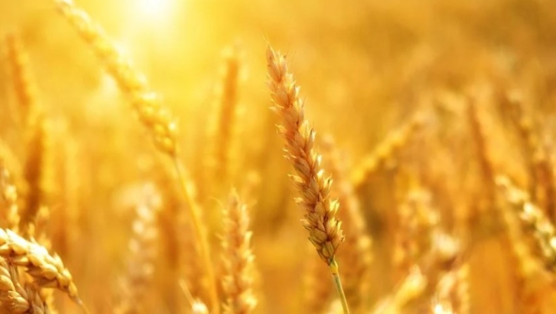 Υπεγράφη η συμφωνία Ρωσίας – Ουκρανίας για τις εξαγωγές σιτηρών