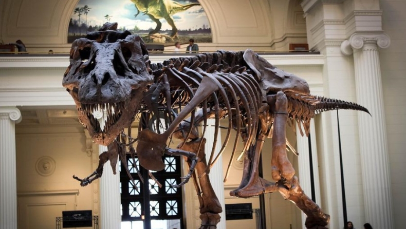 Σκελετός δεινόσαυρου πουλήθηκε 6,1 εκατομμύρια δολάρια σε δημοπρασία στις ΗΠΑ