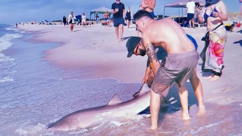 Τρομακτικό βίντεο με νεαρό να «παλεύει» με καρχαρία: Η πραγματικότητα όμως είναι διαφορετική (vid)