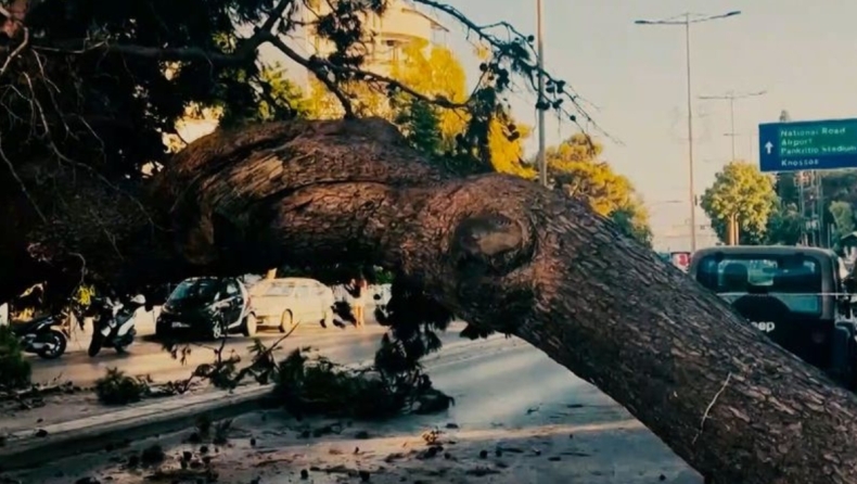Βίντεο ντοκουμέντο από τη στιγμή της πτώσης του δέντρου που κόστισε την ζωή του 51χρονου στο Ηράκλειο (vid)