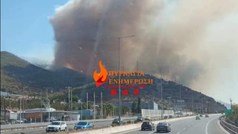 Μεγάλη φωτιά στη Νέα Πέραμο: Έκλεισε η Αθηνών-Κορίνθου (vid)