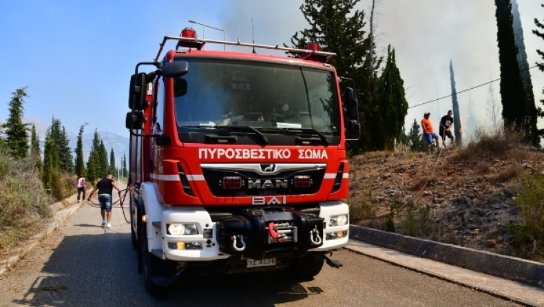 Μάχη με τις φλόγες σε Άγιο Όρος και Χαλκίδα (vid)