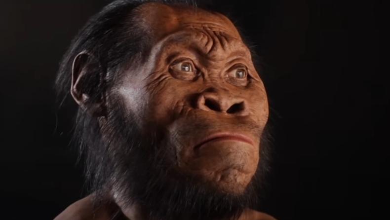 Έρευνα: Ο Σαχελάνθρωπος στάθηκε στα δυο του πόδια πριν από 7 εκατομμύρια χρόνια