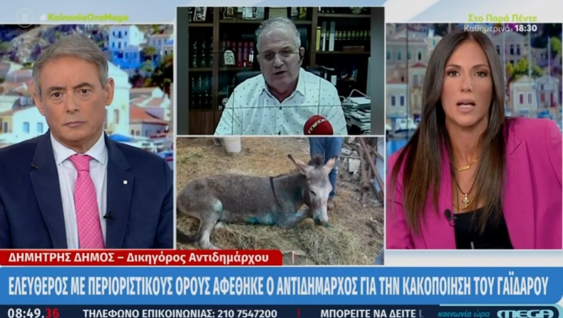 Τα... έχωσε η Βούλγαρη στον δικηγόρο του αντιδημάρχου για τον γάιδαρο: «Δεν θα μας βγάλετε τρελούς» (vid)