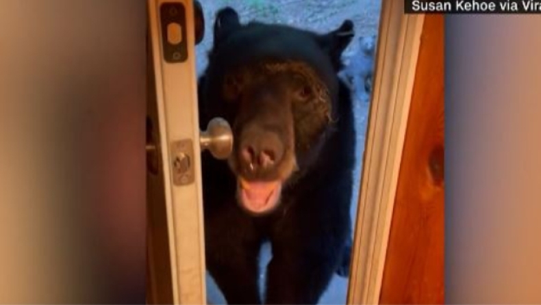 Η πιο υπάκουη αρκούδα έχει τρελάνει το διαδίκτυο: Της λένε να κλείσει την πόρτα και το κάνει (vid)