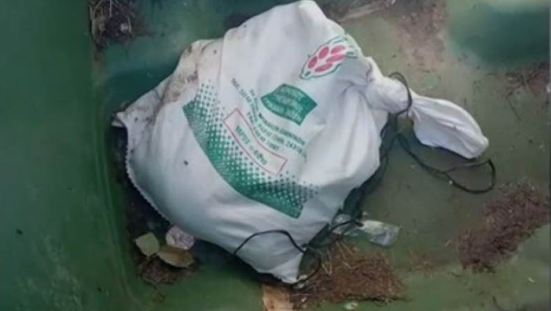 Απίστευτη κτηνωδία στα Τρίκαλα: Πέταξαν στα σκουπίδια έξι κουτάβια, σώθηκε το ένα (vid)
