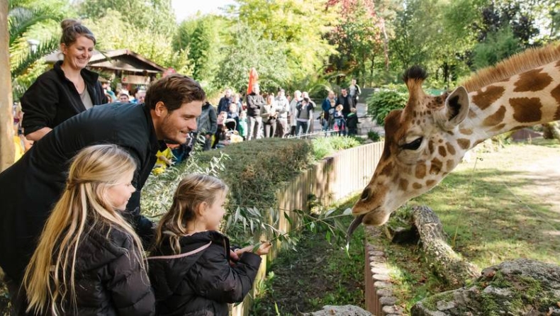 Μπορούσια Ντόρτμουντ: Οι Βεστφαλοί υιοθέτησαν τρεις καμηλοπαρδάλεις για να φέρουν πιο κοντά τα παιδιά με τα ζώα! (vid)