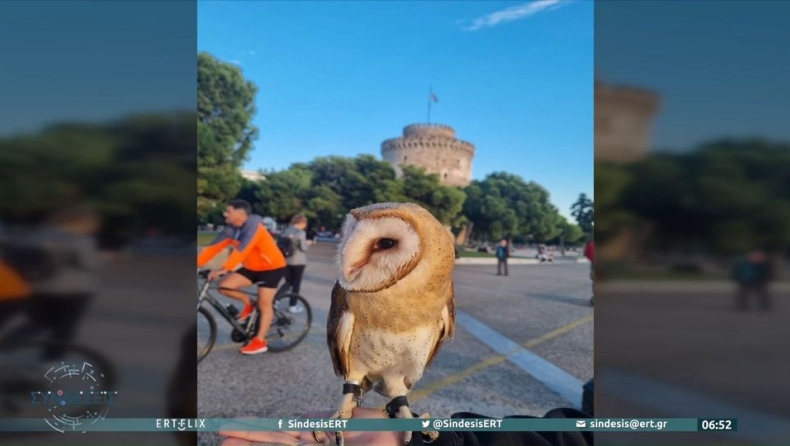 Χαμός με τον τύπο που έβγαλε βόλτα στον Λευκό Πύργο ένα πτηνό που μοιάζει με κουκοβάγια (vid)