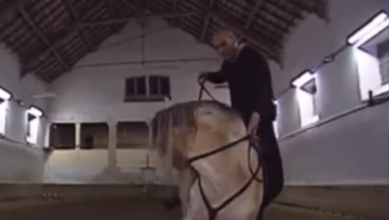 Ζιντάν: Έπεσε από το άλογο την ώρα που έκανε ιππασία! (vid)