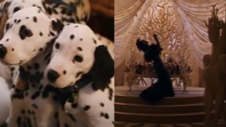 Το σκάνδαλο των «101 σκυλιών Δαλματίας» : H εμπορευματοποίηση της ράτσας και η ανεξέλεγκτη εγκατάλειψή τους, μετά την ταινία (vid)