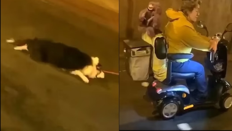 Οργή στη Βρετανία για βίντεο που δείχνει γυναίκα με ηλεκτροκίνητο αμαξίδιο να σέρνει πίσω της σκύλο (vid)