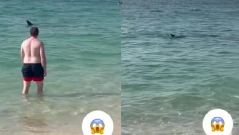 H τρομακτική στιγμή που καρχαρίας κάνει κύκλους γύρω από τους «αμέριμνους» κολυμβητές στην παραλία του Ντουμπάι (vid)