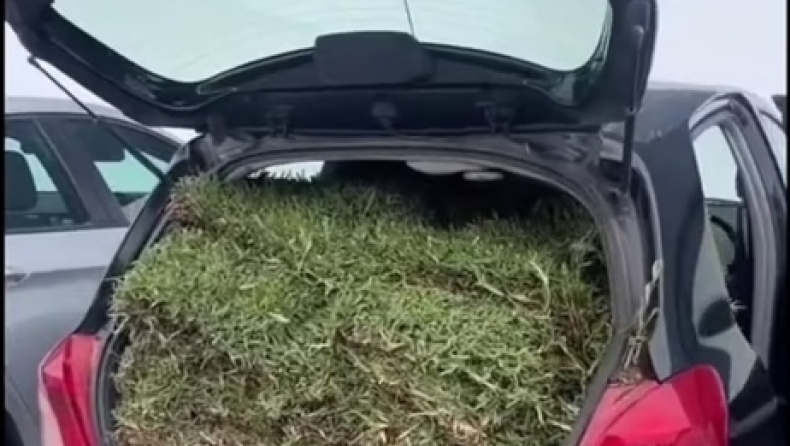 Πώς ένας απίθανος τύπος κατάφερε να χωρέσει 20 τετραγωνικά χλοοτάπητα στο αμάξι του (vid)