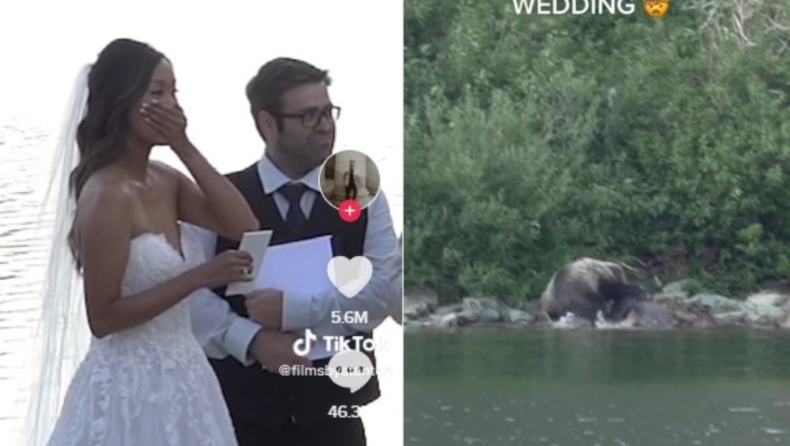 Τραβούσαν βίντεο γάμου και απαθανάτισαν τη στιγμή που αρκούδα «κατακρεουργούσε» ελάφι (vid)