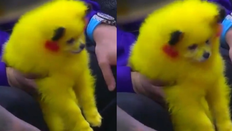 Ανεγκέφαλος οπαδός του NBA έβαψε το σκυλί του σαν τον Pikachu (vid)
