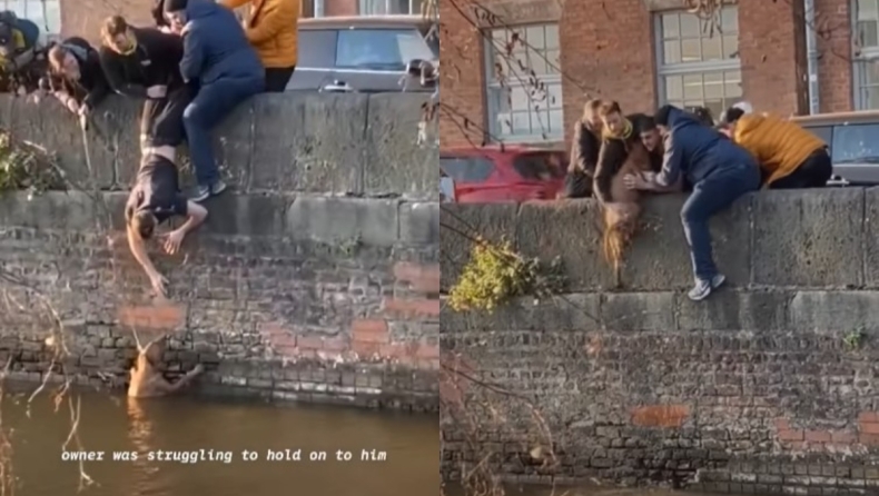  Μάγκες φοιτητές στην Αγγλία έκαναν απίστευτη ανθρώπινη αλυσίδα για να σώσουν σκύλο που είχε πέσει σε ποτάμι (vid)