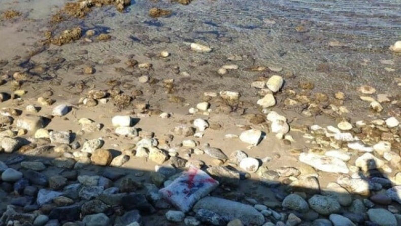 Εντοπίστηκαν 134 κιλά κάνναβης σε παραλία του Ρεθύμνου