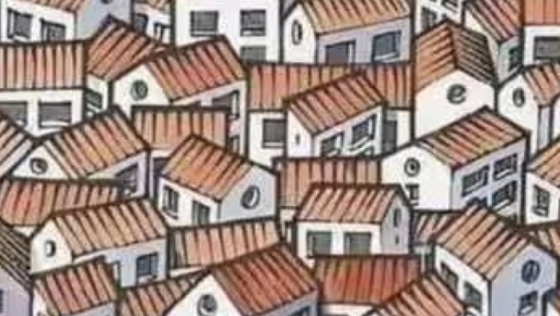 Πόση παρατηρητικότητα έχεις; Βρες τη γάτα σε 10''