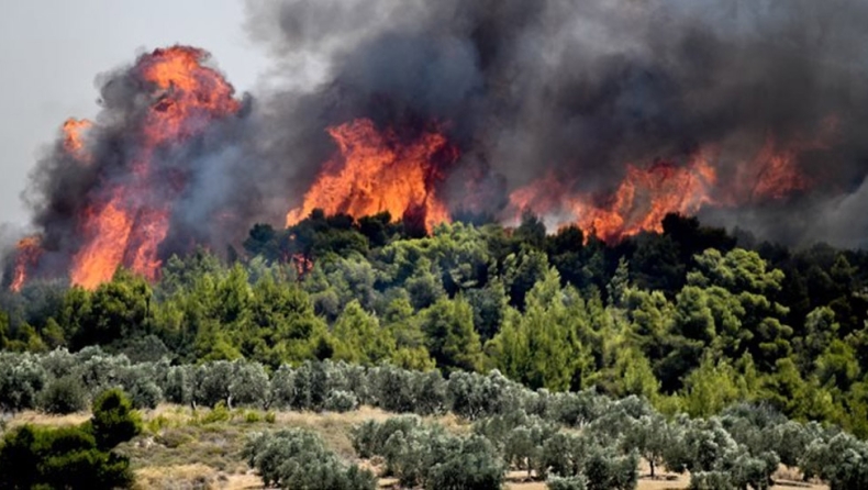 Μεγάλη φωτιά στην Ιεράπετρα: Συναγερμός στην Πυροσβεστική