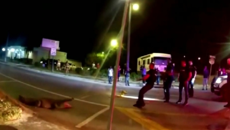 Η στιγμή που αστυνομικός στη Φλόριντα πέφτει πάνω σε αλιγάτορα για να τον ακινητοποιήσει (vid)