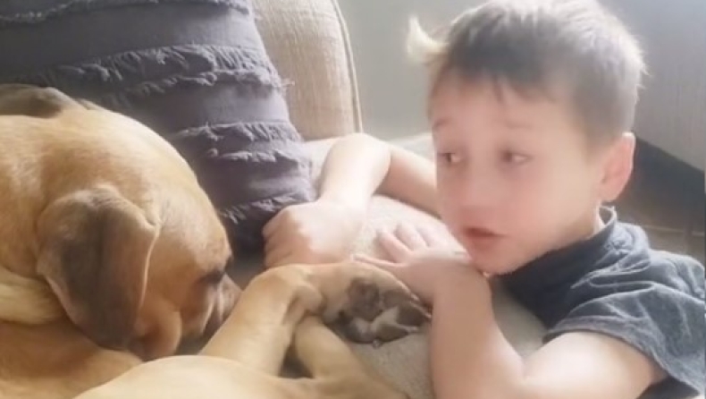 Ένας 7χρονος παρηγόρησε τον κακοποιημένο σκύλο που μόλις υιοθέτησε και έγινε viral: «Θα σε αγαπάμε», του έλεγε (vid)