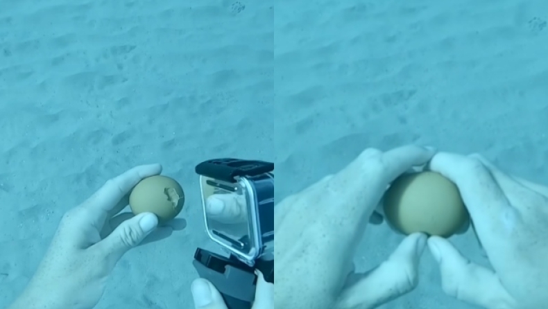 Η στιγμή που δύτης σπάει αυγό στο βυθό της θάλασσας (vid) 