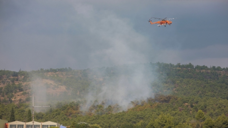 Συναγερμός στη Φθιώτιδα: Εκδηλώθηκαν τέσσερις φωτιές