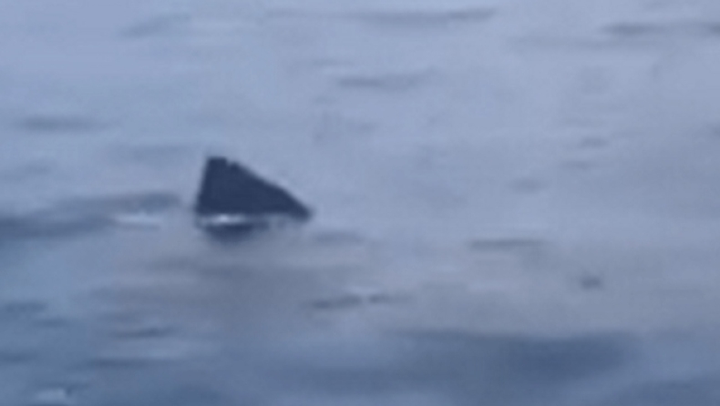 Γύθειο: Καρχαρίας κολυμπούσε γύρω από βάρκα (vid)
